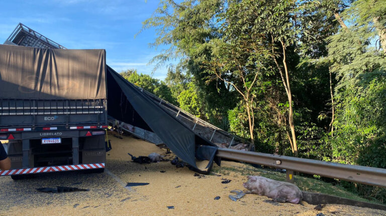 Após colisão com 5 mortes, concessionária afirma redução de acidentes na BR-163