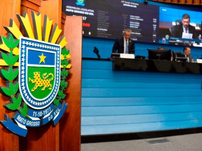 Assembleia decide sobre campanha para conscientizar gestantes sobre bebidas alcoólicas