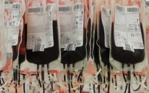 Bactérias intestinais podem tornar tipos sanguíneos compatíveis