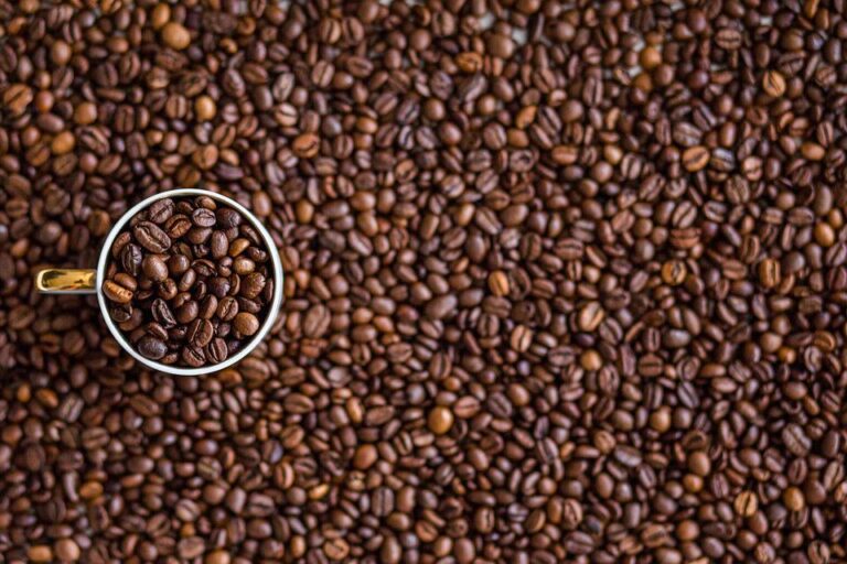 Café: Abic apresentará nos EUA protocolo de avaliação sensorial de grãos torrados