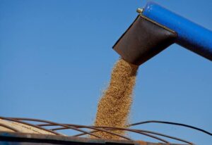 Colheita de soja atinge 86,8% no país; milho chega a 56,7%, diz Conab