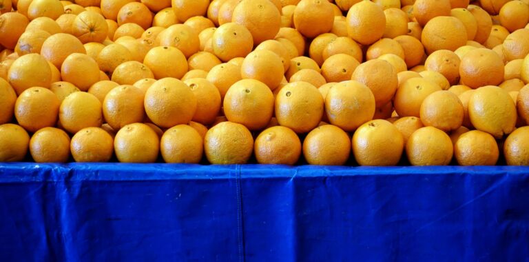 Laranja: pouca chuva, frutos pequenos e greening afetam maior região produtora do mundo