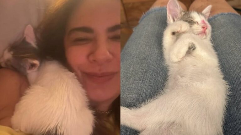 Luciana Gimenez chora após perder gata em acidente doméstico