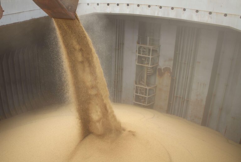 Na Argentina, receita com exportação de grãos cresce 22% em março