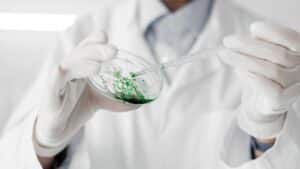 O crescente mercado de biotecnologia e bioinsumos