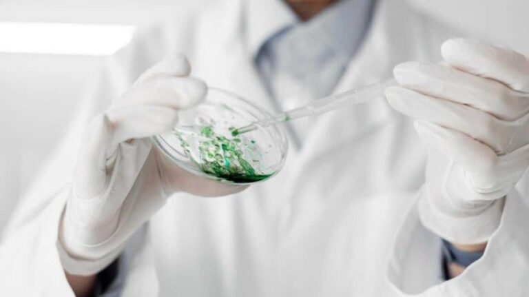 O crescente mercado de biotecnologia e bioinsumos