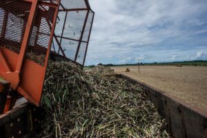 Paraná vai produzir 1,25 bilhão de litros de etanol, aponta boletim