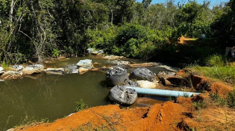 Polícia Civil investiga crimes ambientais em fazenda no interior de MS