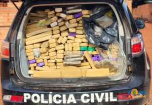 Polícia Civil realiza incineração de drogas apreendidas em Coxim