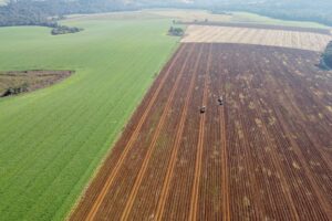 Preço do hectare de terra para agricultura cai no Paraná; confira