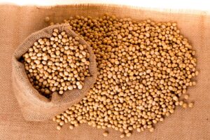 Preços da saca de soja no Brasil hoje; confira