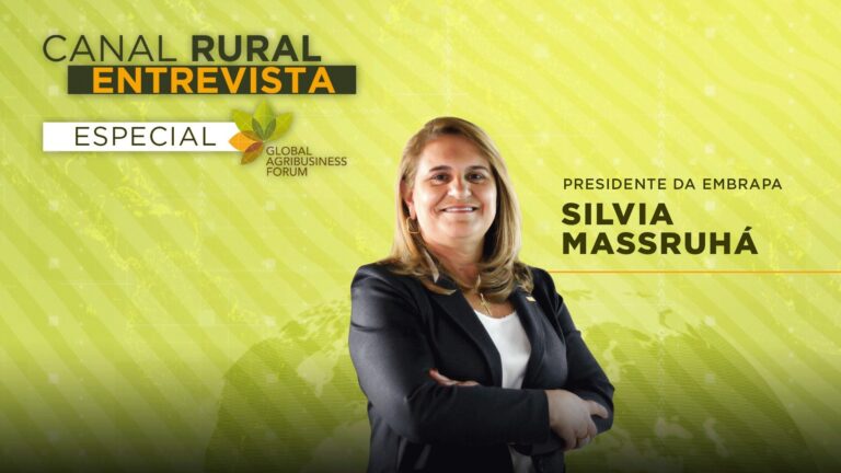 Presidente da Embrapa destaca inovação e sustentabilidade no agro brasileiro