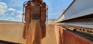 USDA: Exportadores de soja relatam venda de 121,5 mil t para destinos não revelados