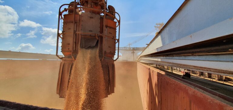 USDA: Exportadores de soja relatam venda de 121,5 mil t para destinos não revelados