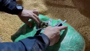 VÍDEO: Polícia Rodoviária apreende quase 7 toneladas de maconha em carga de soja
