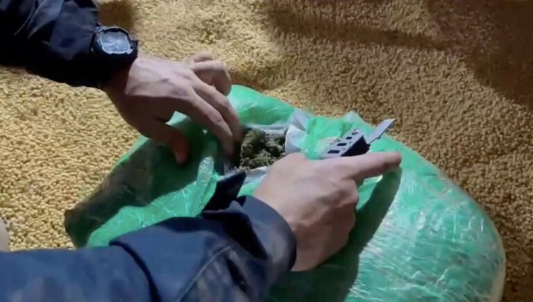VÍDEO: Polícia Rodoviária apreende quase 7 toneladas de maconha em carga de soja