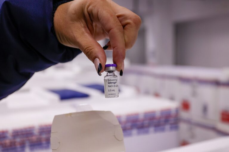 Vacinação pode levar até 8 anos para reduzir transmissão da dengue