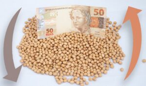 Veja como o cenário internacional impactará os preços da soja nesta semana