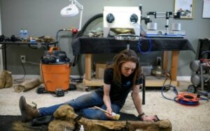 A restauradora Lauren McClain limpa um fêmur de dinossauro em Houston, Texas, Estados Unidos, em 30 de abril de 2024