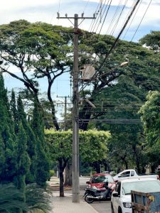 Ação da AGEMS com Energisa e Prefeituras sobre arborização urbana e segurança da rede de energia chega à Grande Dourados