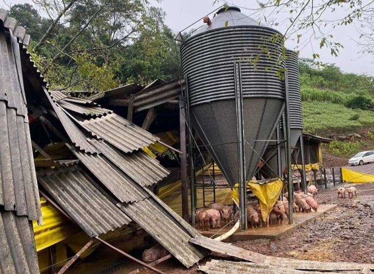 Análise: entenda como as enchentes afetam o agronegócio no Rio Grande do Sul