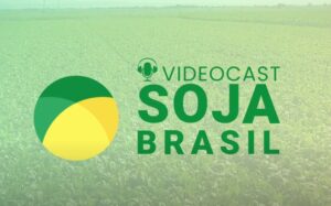 Balanço da safra 23/24 e os desafios de 24/25. Confira no videocast Soja Brasil