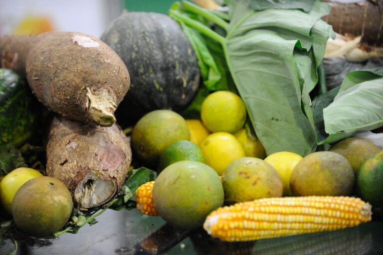 Brasil vai desenvolver cultivo de alimentos no espaço
