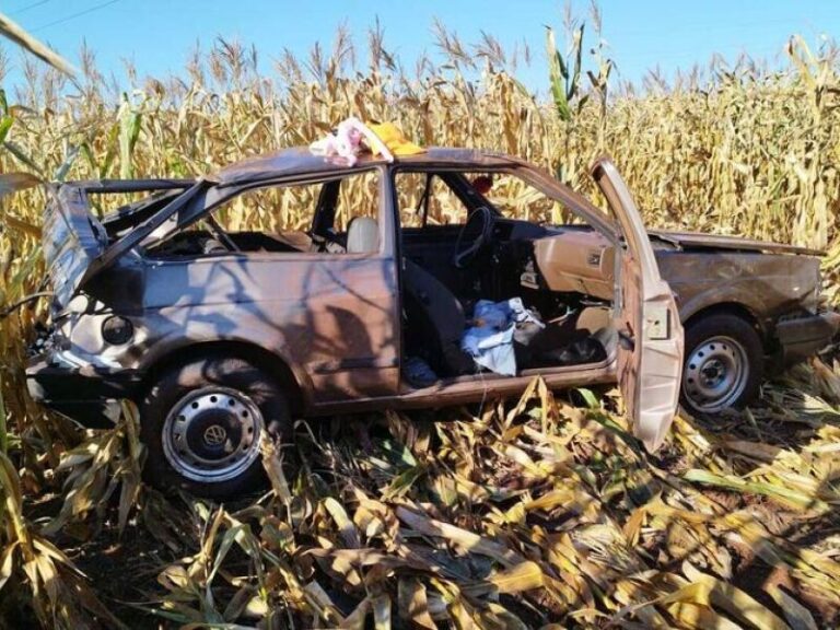 Carro vai parar em milharal após capotar várias vezes entre Dourados e Fátima do Sul