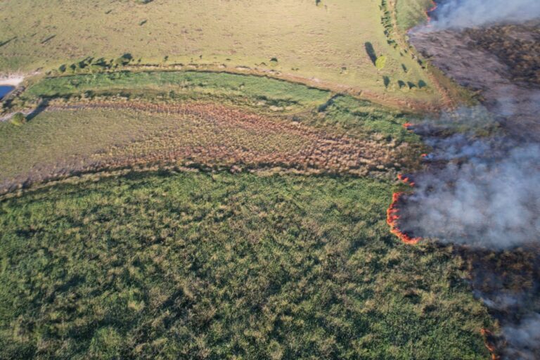 Combate a incêndios florestais, monitoramento e ações preventivas marcam atuação dos bombeiros em biomas de MS