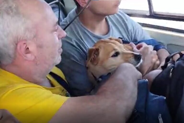 Crianças, idosos e até cão caramelo são resgatados em helicóptero de MS