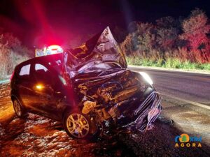 Família se envolve em acidente ao atropelar anta na BR-163 entre Coxim e Sonora