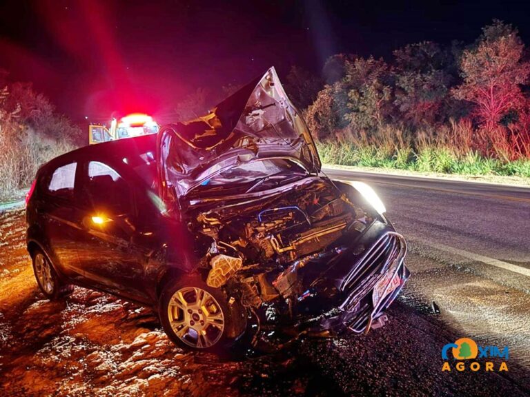 Família se envolve em acidente ao atropelar anta na BR-163 entre Coxim e Sonora