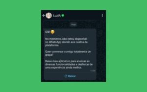 IA Luzia não funciona mais no WhatsApp