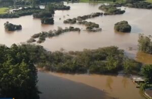 Lavouras submersas e perda total de renda: o drama dos pequenos produtores do RS