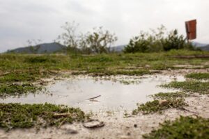 Linha de crédito para reconversão do solo do RS deve ser prioridade, diz Turra