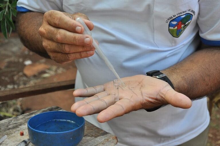 Mortes por dengue chegam a 18 em MS