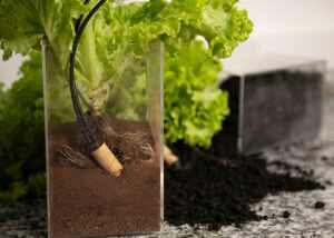 Novo sensor para irrigação gera economia e aumenta a produtividade da lavoura
