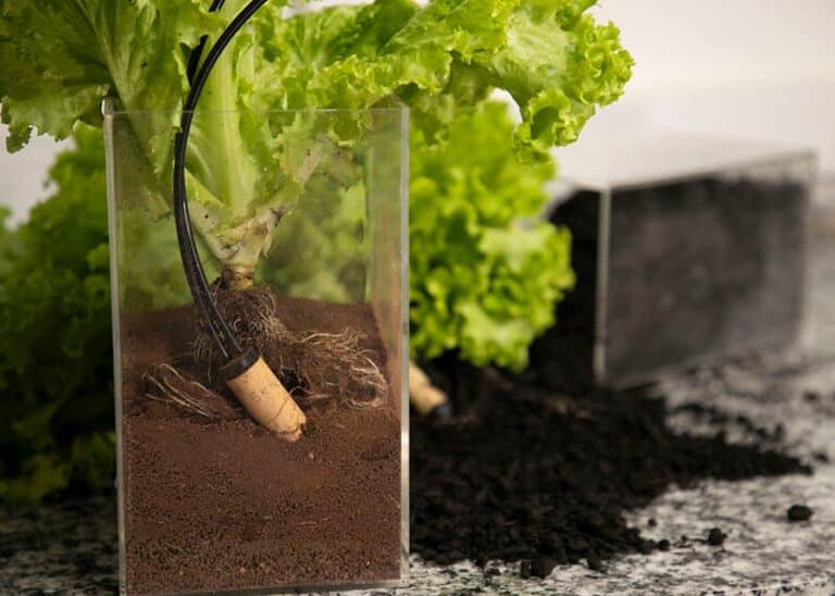 Novo sensor para irrigação gera economia e aumenta a produtividade da lavoura
