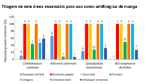 Óleos essenciais ajudam a controlar fungos que atacam a manga