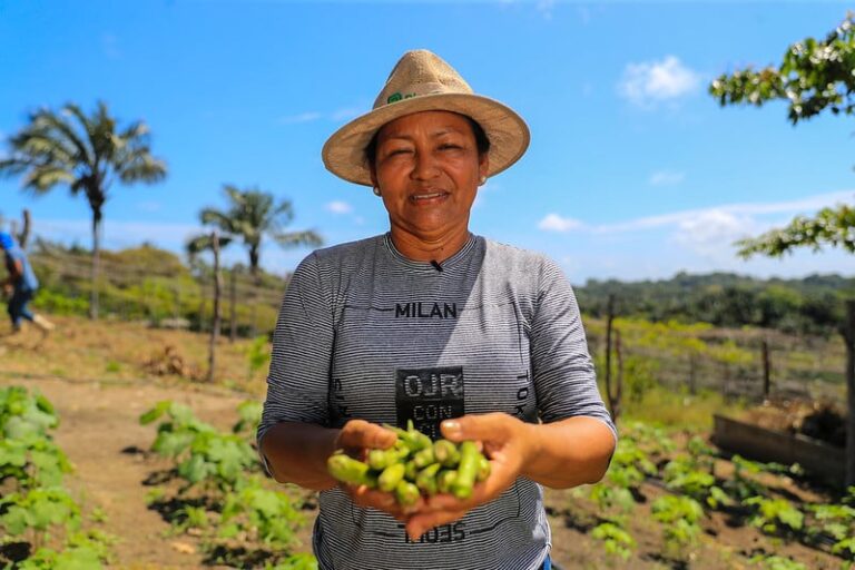 Programa Garantia Safra paga pequenos produtores atingidos pela estiagem no Amazonas