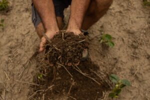 Tecnologias biológicas para a saúde do solo são expostas na AgroBrasília