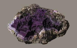Tinta púrpura mais valiosa que ouro é achada em esgoto romano