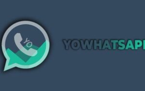 5 motivos para não usar o YoWhatsApp