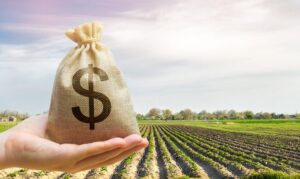 Agricultura negocia cerca de R$ 500 bilhões para o Plano Safra 
