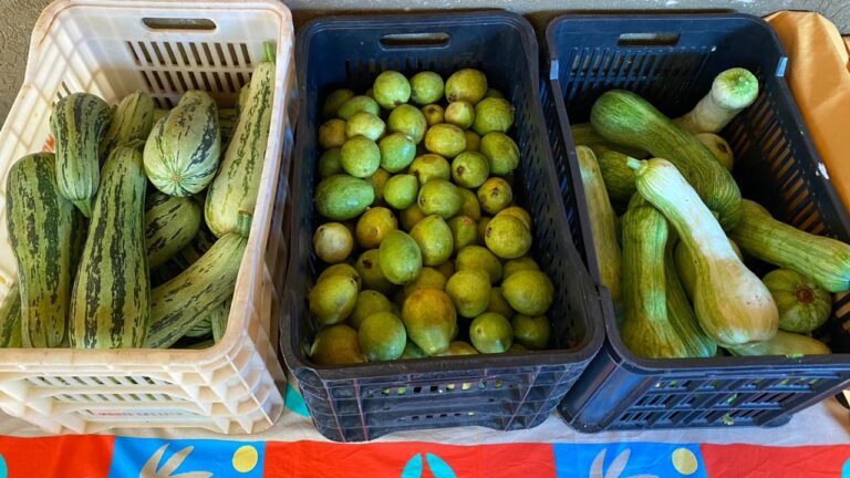 Através do PAA, Prefeitura distribuiu mais de 1 tonelada de alimentos para instituições locais