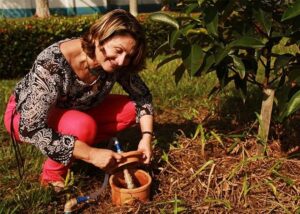 Banco do Brasil certifica tecnologia de irrigação com potes