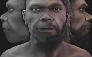Brasileiro recria aparência do Homo sapiens mais antigo do mundo