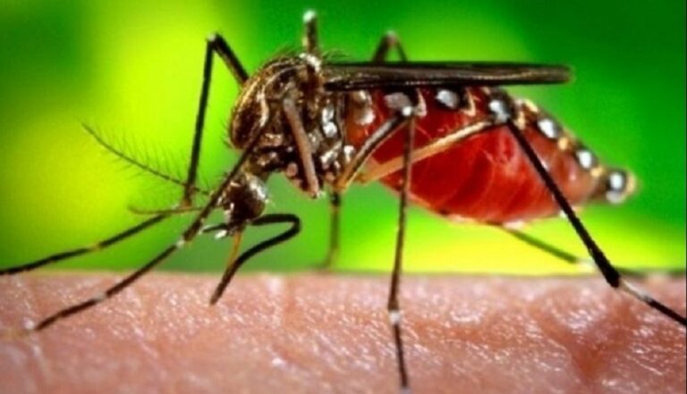 Chapadão do Sul registra primeira óbito de criança por dengue em 2024