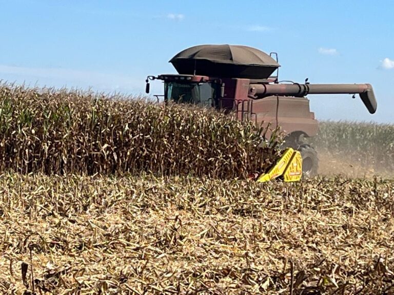 Colheita da safrinha de milho é a mais acelerada desde 2013, diz consultoria