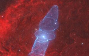 Destaque da NASA: brilhante Nebulosa da Lula é foto astronômica do dia